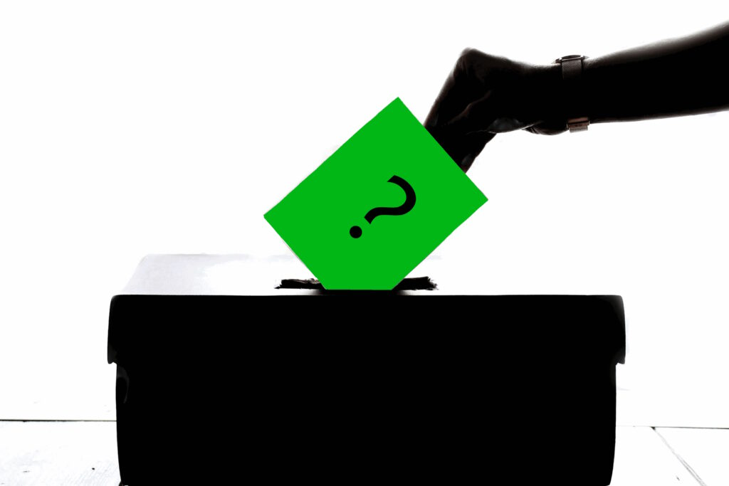 Klimavalg i Europa 2024: Blev det sort eller grønt?